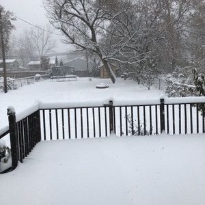 Meet your Posher, Iris